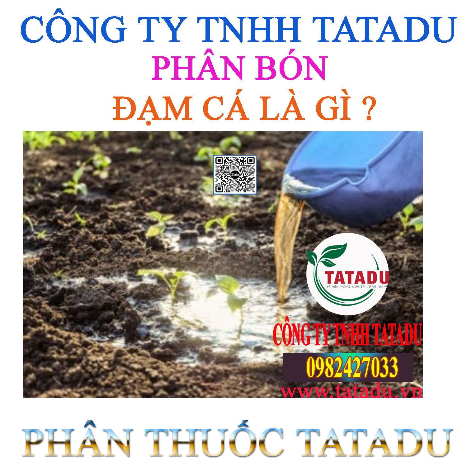 PHAN BON DAM CA LA GI