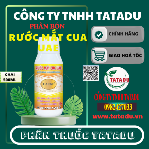 RUOC MAT CUA UAE