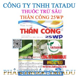 THAN CONG 25WP