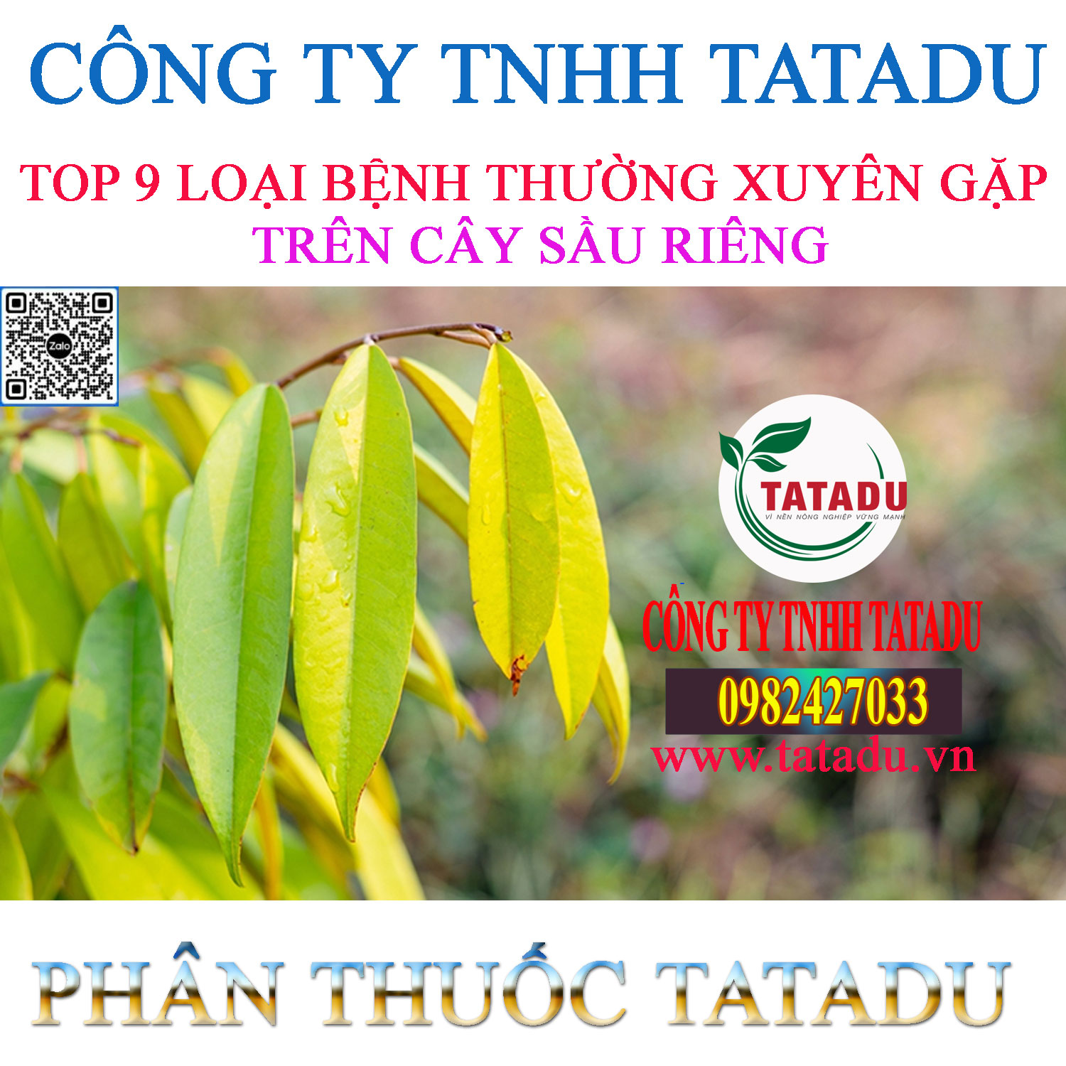 TOP 9 LOAI BENH THUONG XUYEN GAP TREN CAY SAU RIENG