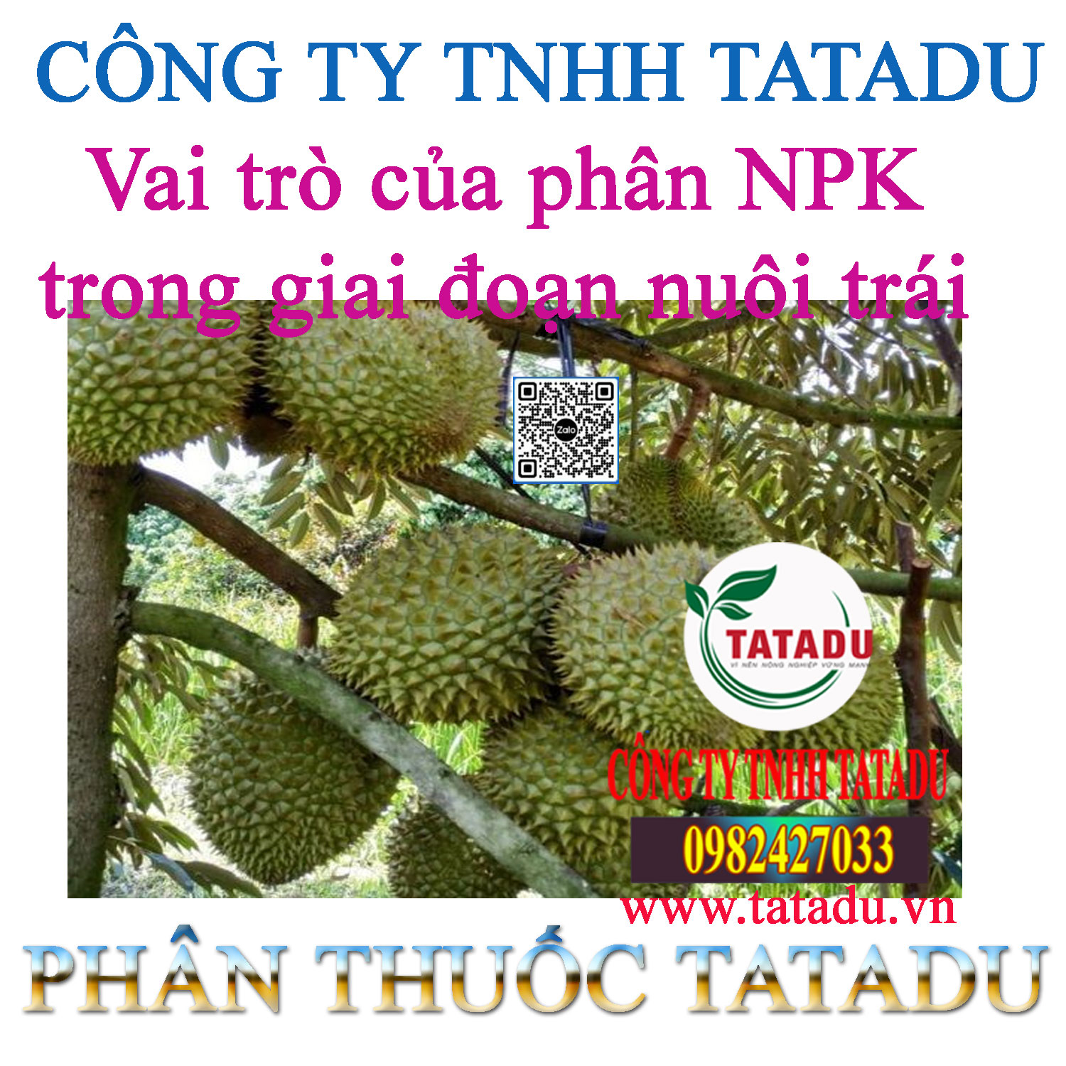 Vai tro cua phan NPK trong giai doan nuoi trai Vai tro cua phan NPK trong giai doan nuoi trai