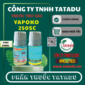 YAPOKO 250SC UAE 1