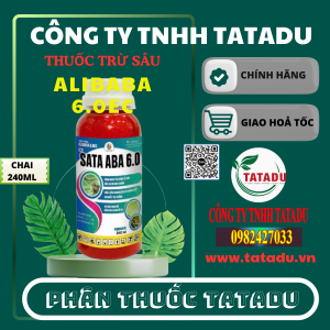 ALIBABA 6.0EC HIEU SATA ABA 6.0