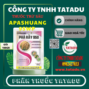 APASHUANG 95WP