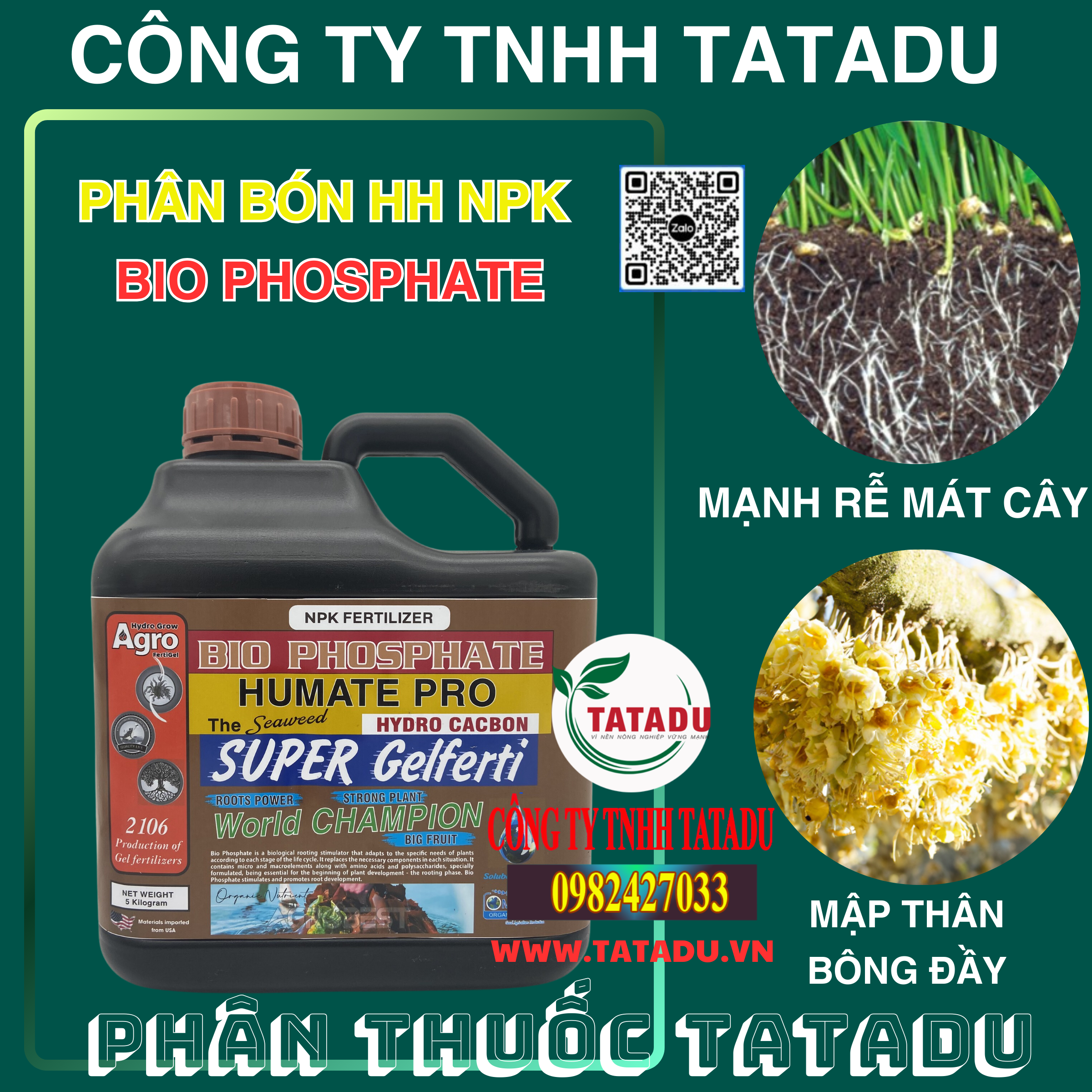BIO PHOSPHATE MANH RE MAT CAY MAP THAN BONG DAY BIO PHOSPHATE MANH RE MAT CAY MAP THAN BONG DAY