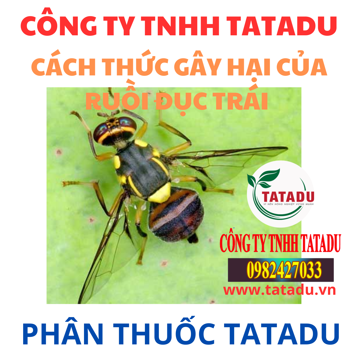 CACH THUC GAY HAI CUA RUOI DUC TRAI