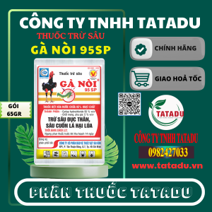 GA NOI 95SP