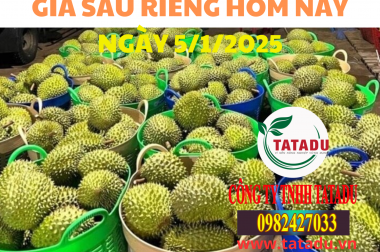TIN NGOÀI LỀ Giá sầu riêng hôm nay 5/1: Sầu riêng Thái giá giảm