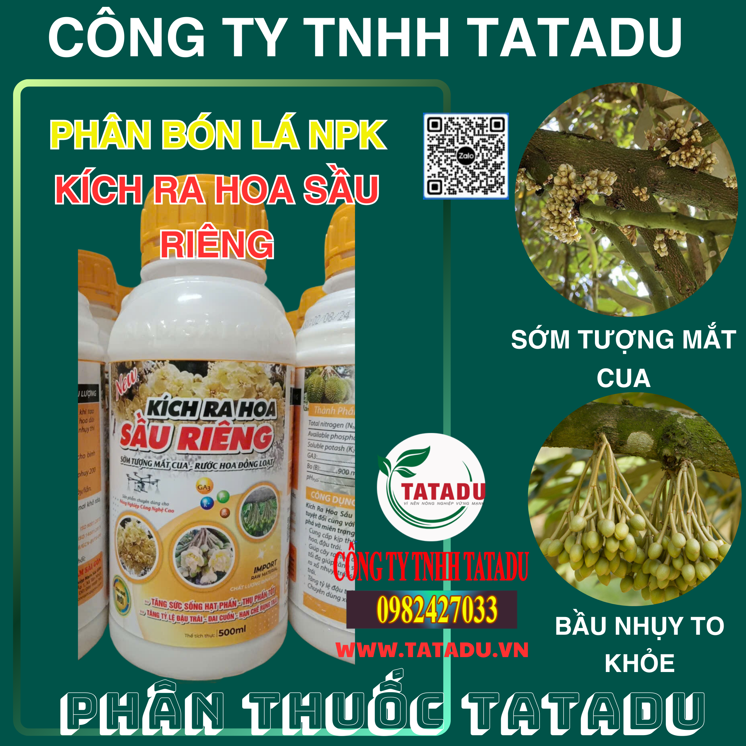 KICH RA HOA SAU RIENG SOM TUONG MAT CUA BAU NHUY TO KHOE KICH RA HOA SAU RIENG SOM TUONG MAT CUA BAU NHUY TO KHOE