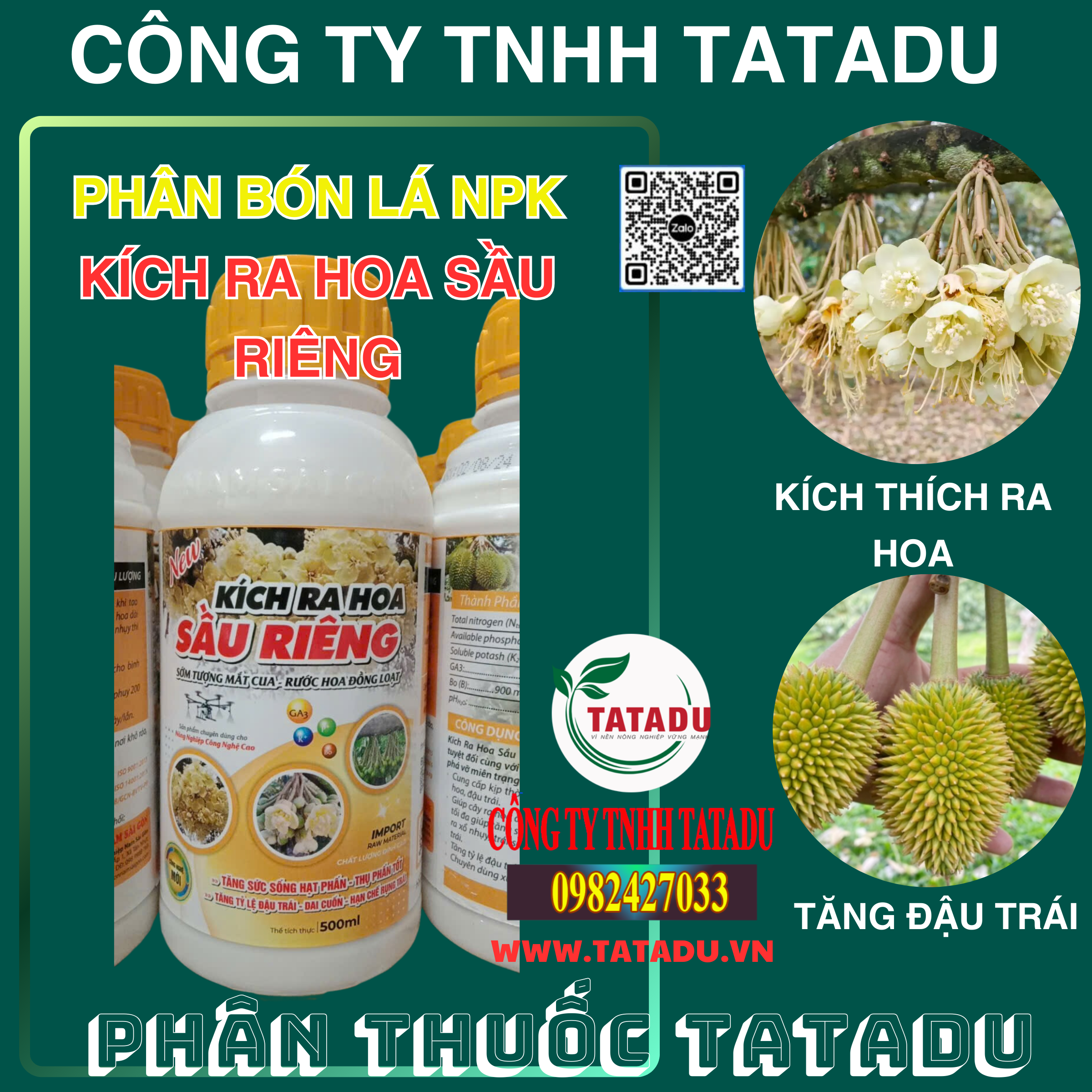 KICH RA HOA SAU RIENG TANG DAU TRAI KICH RA HOA SAU RIENG TANG DAU TRAI