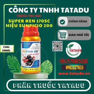 SUPER KEN 170SC HIEU SUNPICIO 200