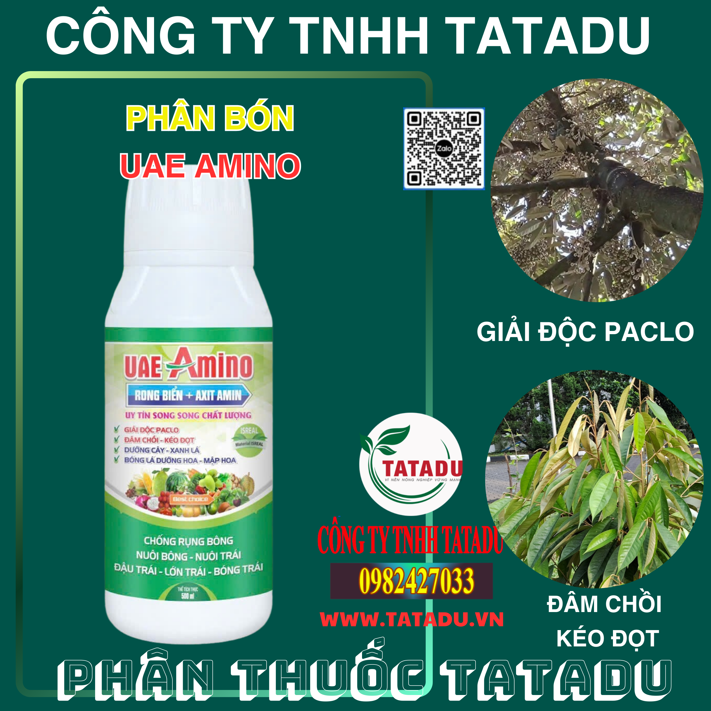 UAE AMINO GIAI DOC PACLO DAM CHOI KEO DOT UAE AMINO GIAI DOC PACLO DAM CHOI KEO DOT