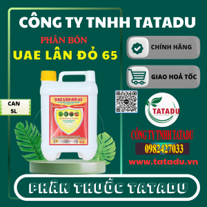 UAE LAN DO 65 CAN 5 LIT