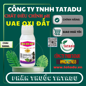 UAE OXI DAT