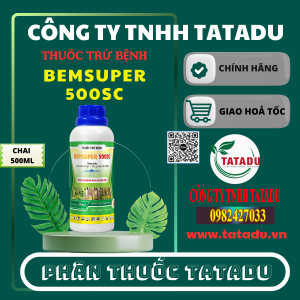 BEMSUPER 500SC