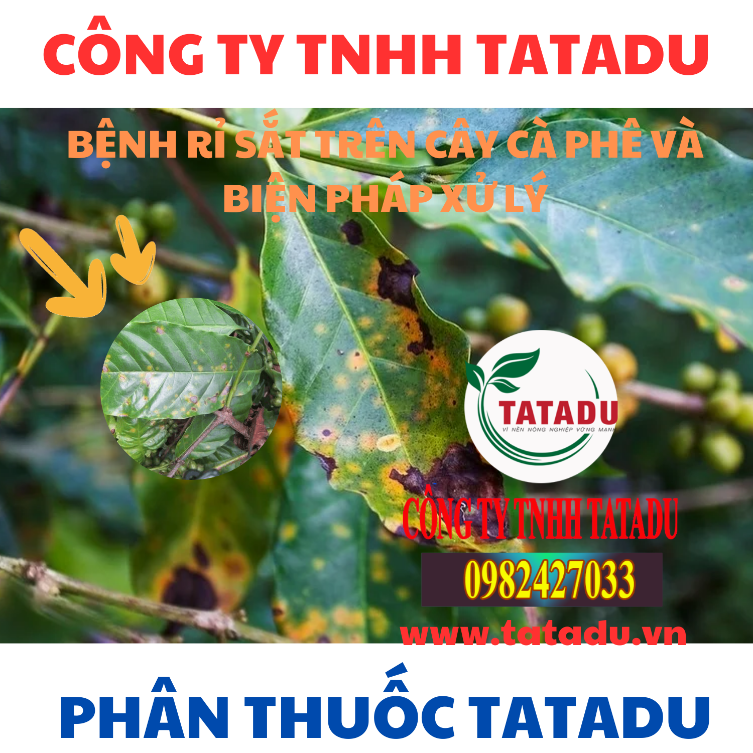 BENH RI SAT TREN CAY CA PHE VA BIEN PHAP XU LY