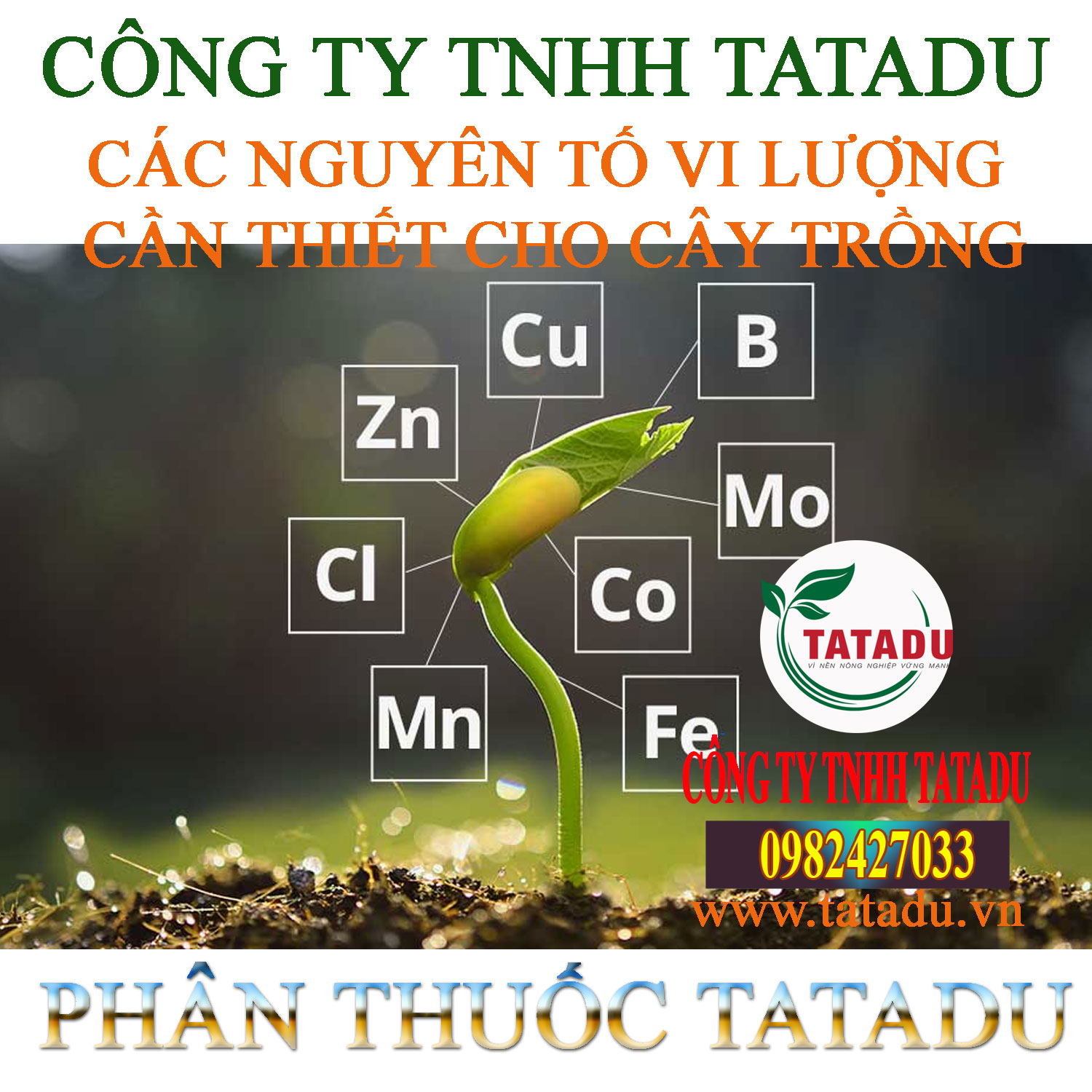 CAC NGUYEN TO VI LUONG CAN THIET CHO CAY TRONG