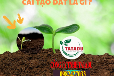 CẢI TẠO ĐẤT LÀ GÌ ? NÂNG pH ĐẤT LÀ GÌ ?