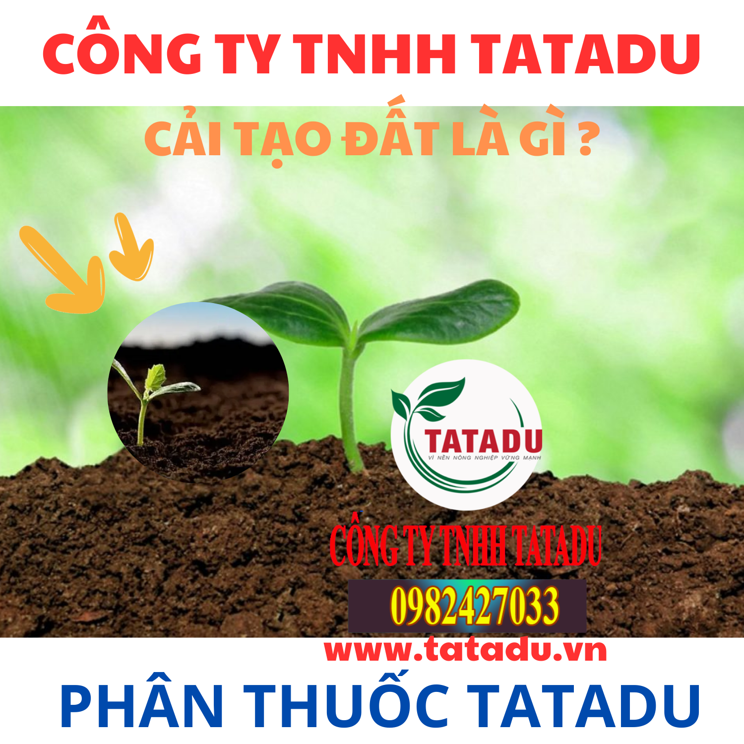 CAI TAO DAT LA GI