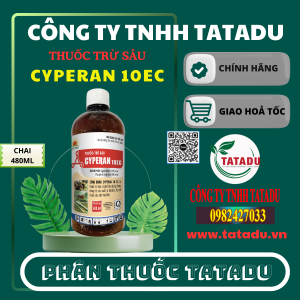 CYPERAN 10EC