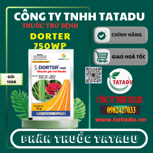DORTER 750WP