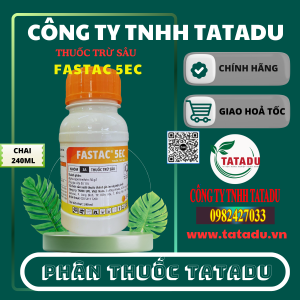 FASTAC 5EC CHAI 240ML MAU MOI UPL