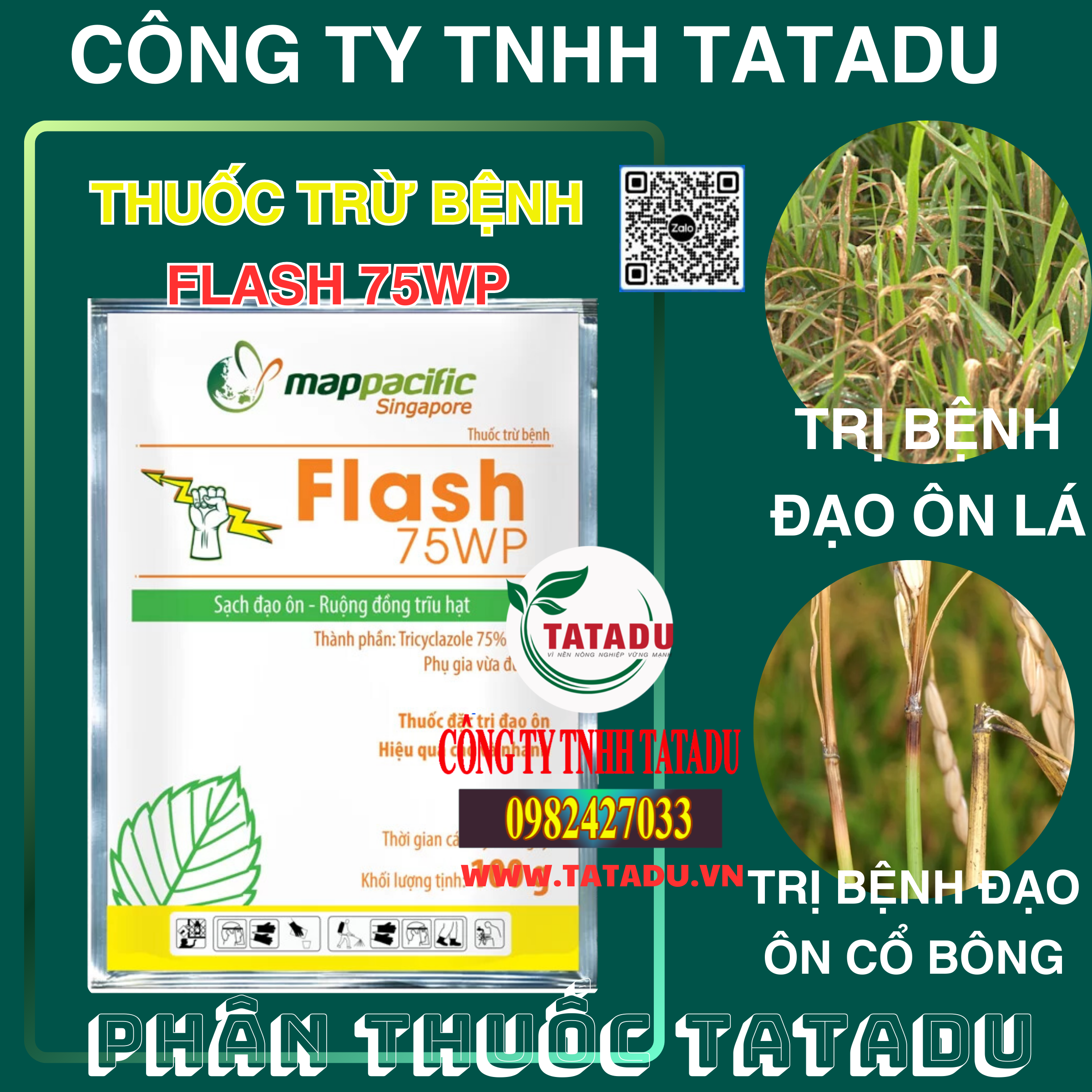 FLASH 75WP DAC TRI BENH DAO ON LA CO BONG FLASH 75WP DAC TRI BENH DAO ON LA CO BONG