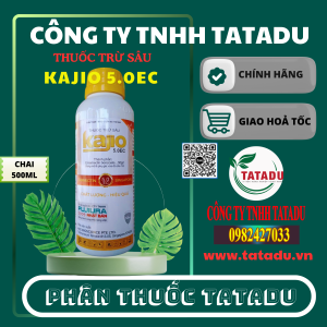 KAJIO 5.0EC