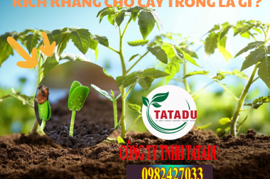 KÍCH KHÁNG CHO CÂY TRỒNG LÀ GÌ ?
