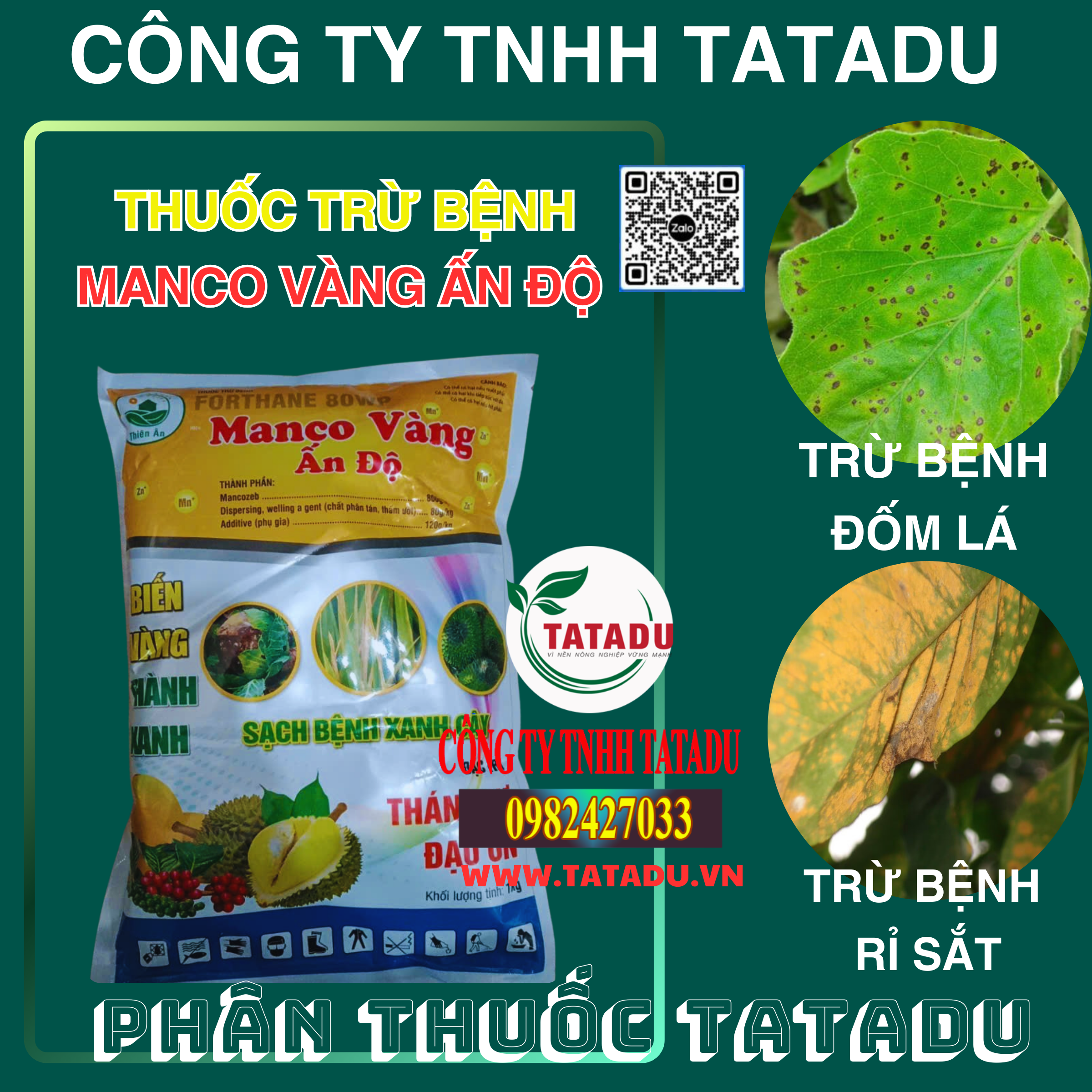 MANCO VANG AN DO TRU BENH DOM LA RI SAT MANCO VANG AN DO TRU BENH DOM LA RI SAT