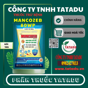 MANCOZEB 80WP MAU XANH
