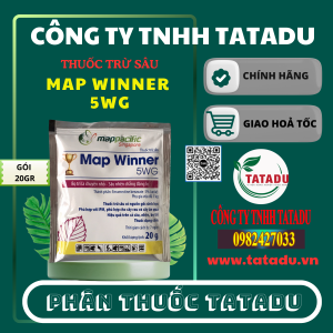 MAP WINNER 5WG