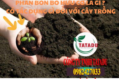 PHÂN BÓN BO HỮU CƠ LÀ GÌ ? CÓ TÁC DỤNG GÌ ĐỐI VỚI CÂY TRỒNG