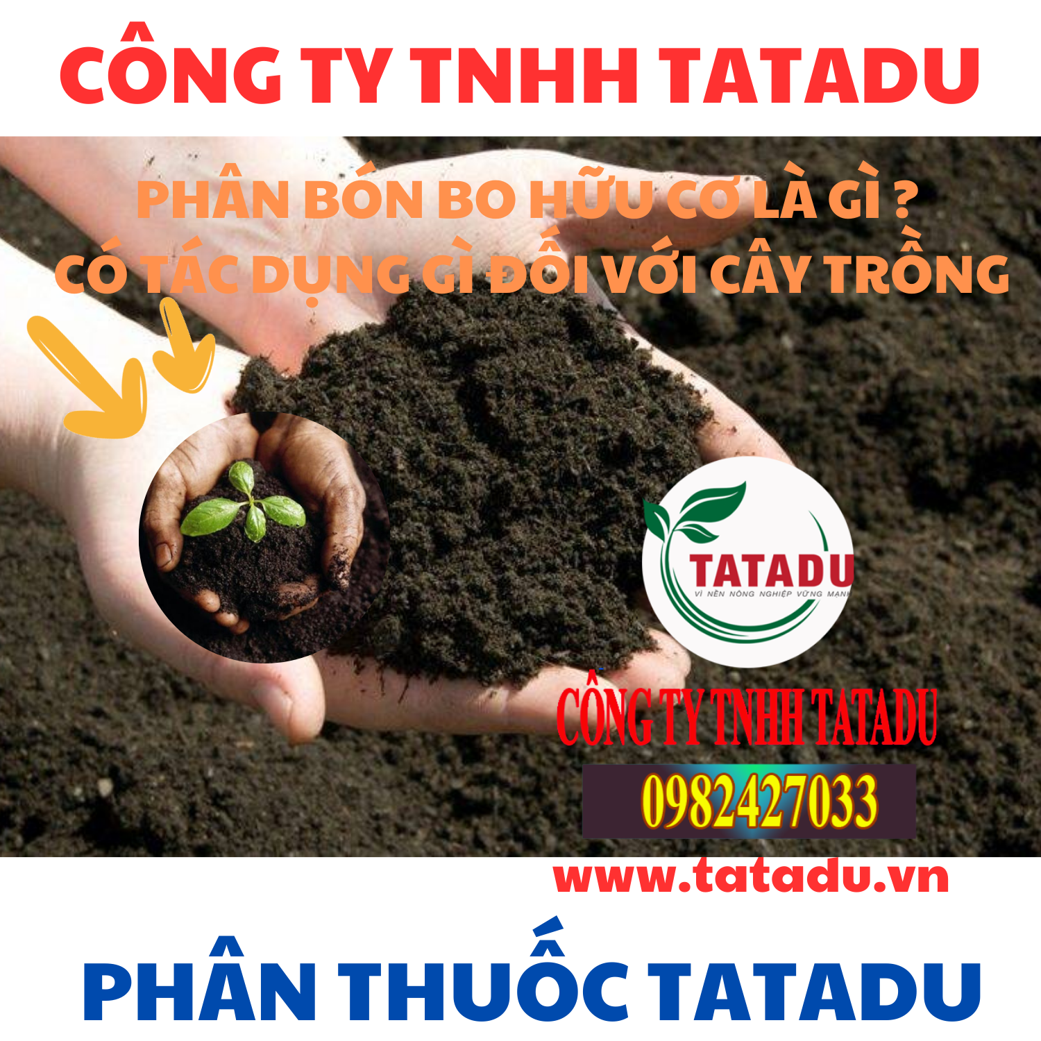 PHAN BON BO HUU CO LA GI CO TAC DUNG GI DOI VOI CAY TRONG