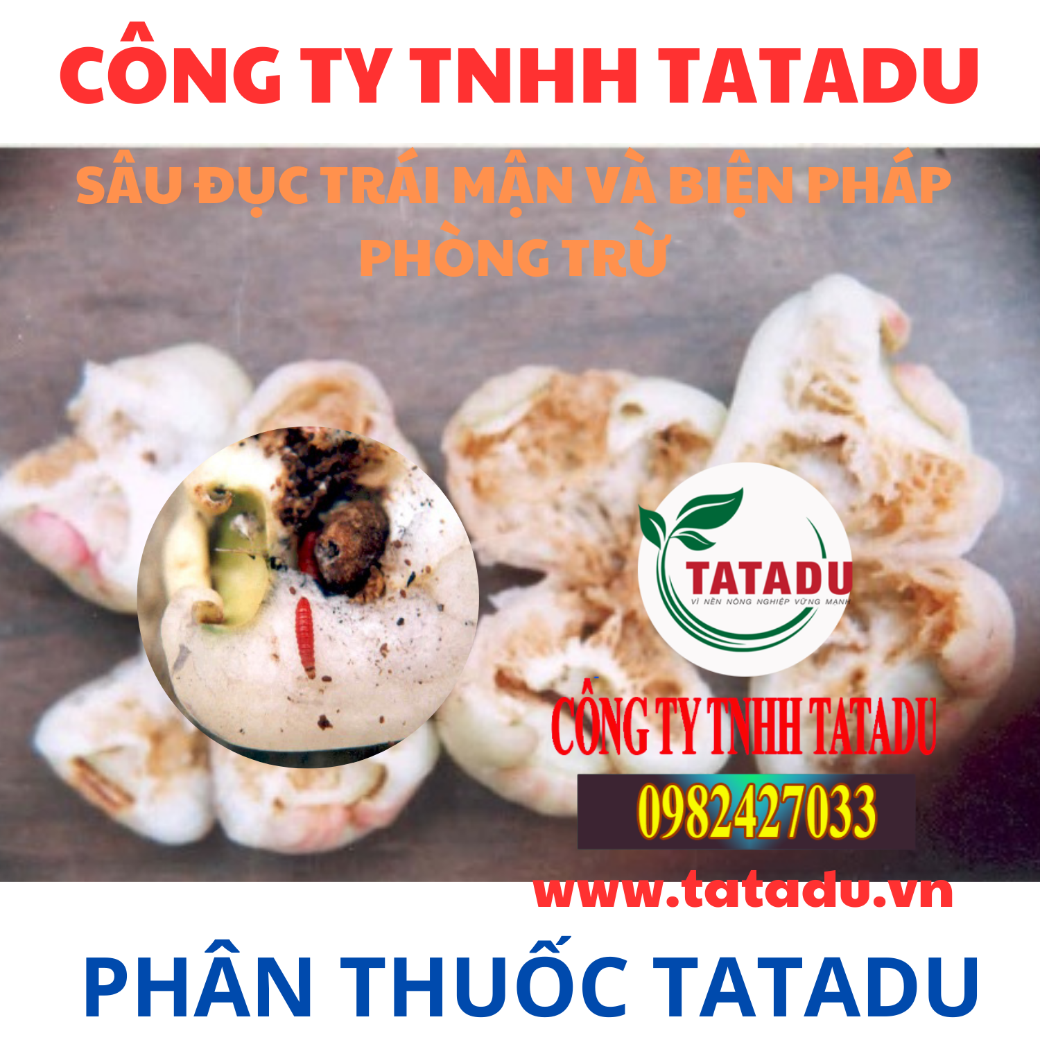 SAU DUC TRAI MAN VA BIEN PHAP PHONG TRU