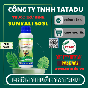 SUNVALI 50SL