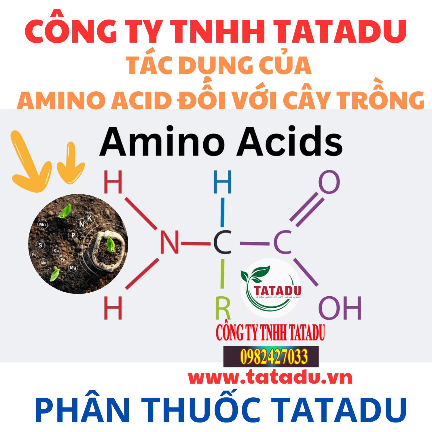 TAC DUNG CUA AMINO ACID DOI VOI CAY TRONG