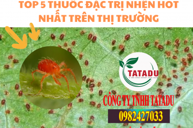 TOP 5 THUỐC ĐẶC TRỊ NHỆN HOT NHẤT TRÊN THỊ TRƯỜNG