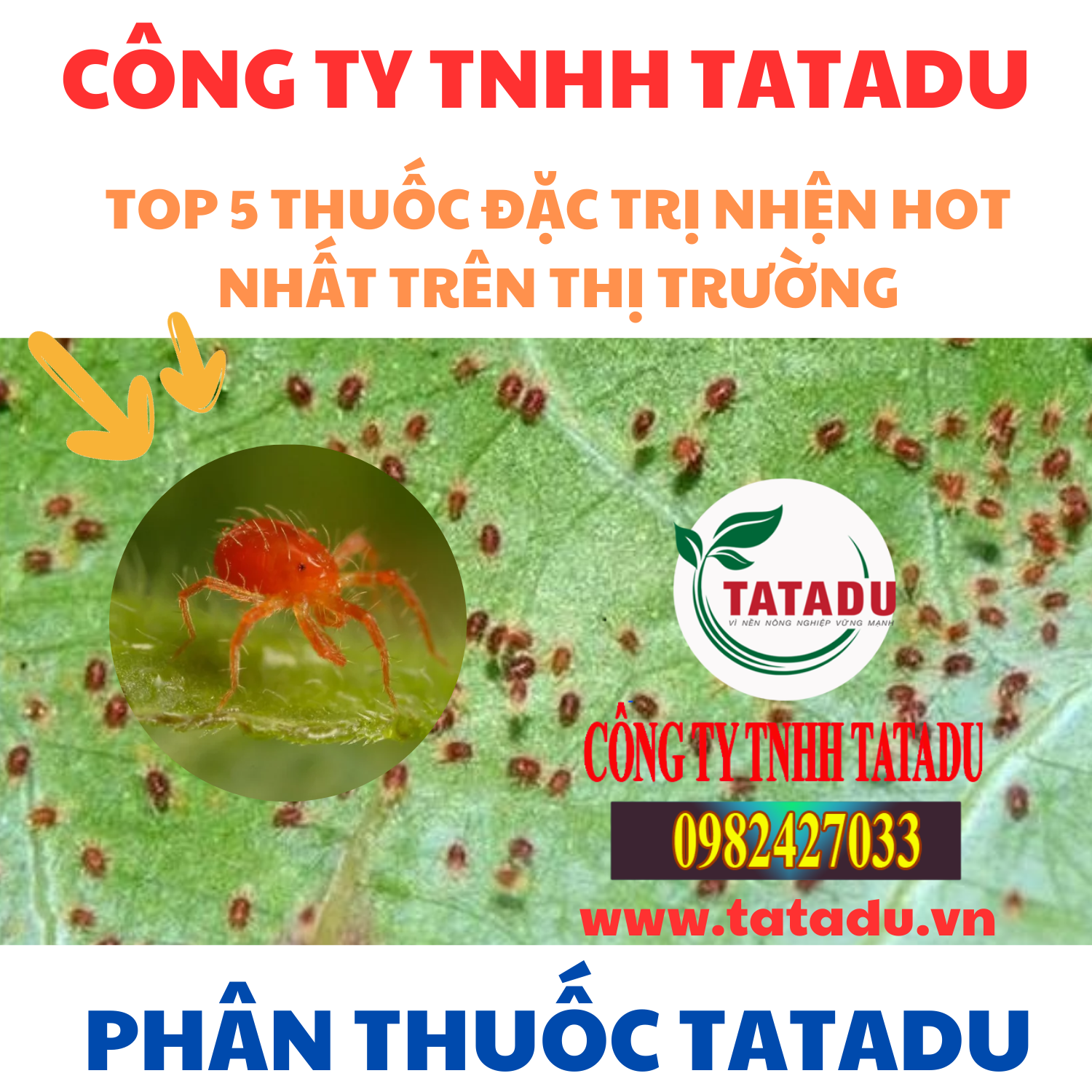 TOP 5 THUOC DAC TRI NHEN HOT NHAT TREN THI TRUONG