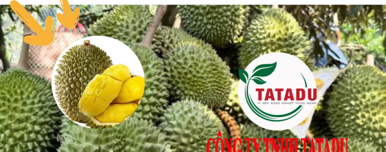 TOP 6 PHAN BON DUONG TRAI SAU RIENG PHUN LA HIEU QUA
