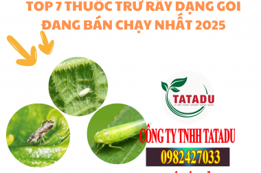 TOP 7 THUỐC TRỪ RẦY DẠNG GÓI ĐANG BÁN CHẠY NHẤT 2025