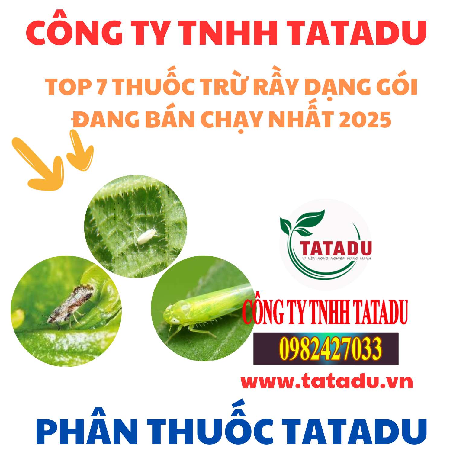 TOP 7 THUOC TRU RAY DANG GOI DANG BAN CHAY NHAT 2025
