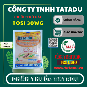TOSI 30WG HIEU HASEIDN GOLD