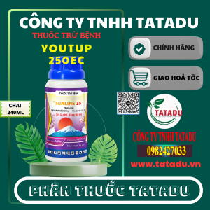 YOUTUP 250EC