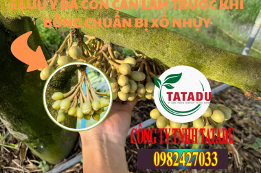 5 LƯU Ý BÀ CON CẦN LÀM TRƯỚC KHI BÔNG CHUẨN BỊ XỔ NHỤY