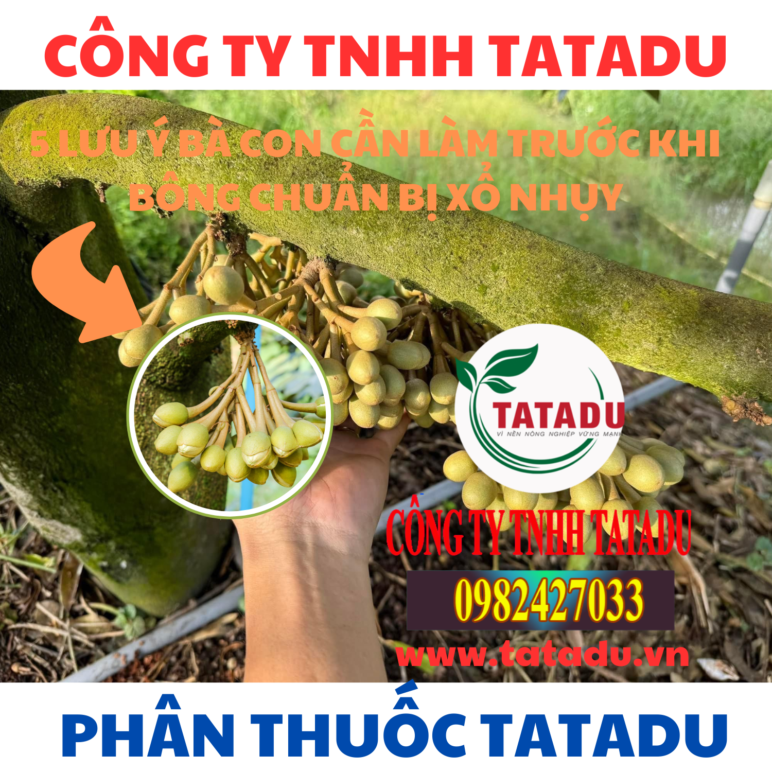 5 LUU Y BA CON CAN LAM TRUOC KHI BONG CHUAN BI XO NHUY