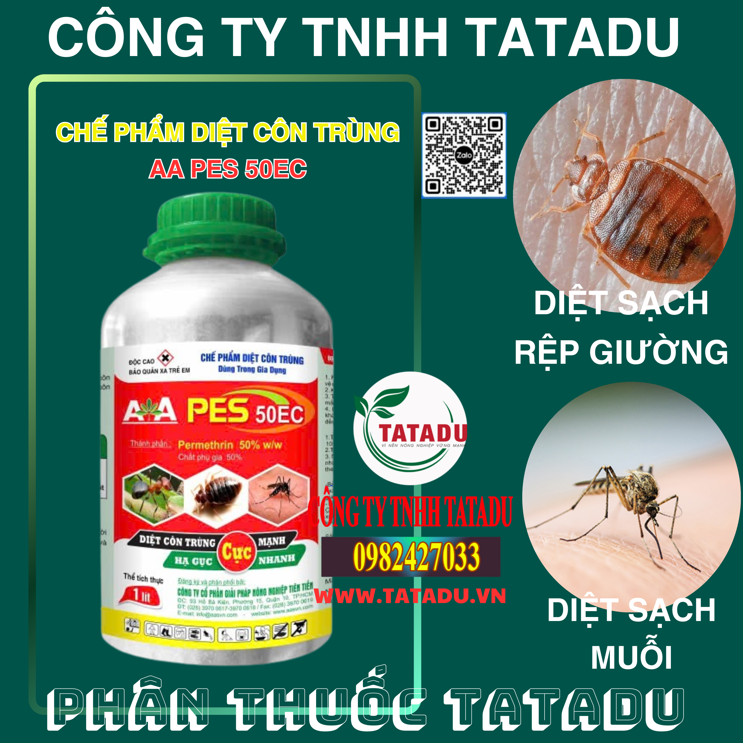 AA PES 50EC DIET SACH REP GIUONG MUOI AA PES 50EC DIET SACH REP GIUONG MUOI
