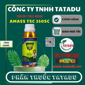 AMASS TSC 350SC