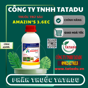 AMAZINS 3.6EC