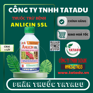 ANLICIN 5SL AA